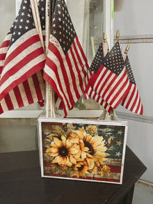  American Sunflower